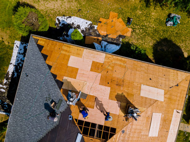 Best Metal Roofing Contractor  in Victoria, TX